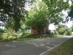Nauen